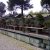 Domenica al Centro Bonsai Piccin